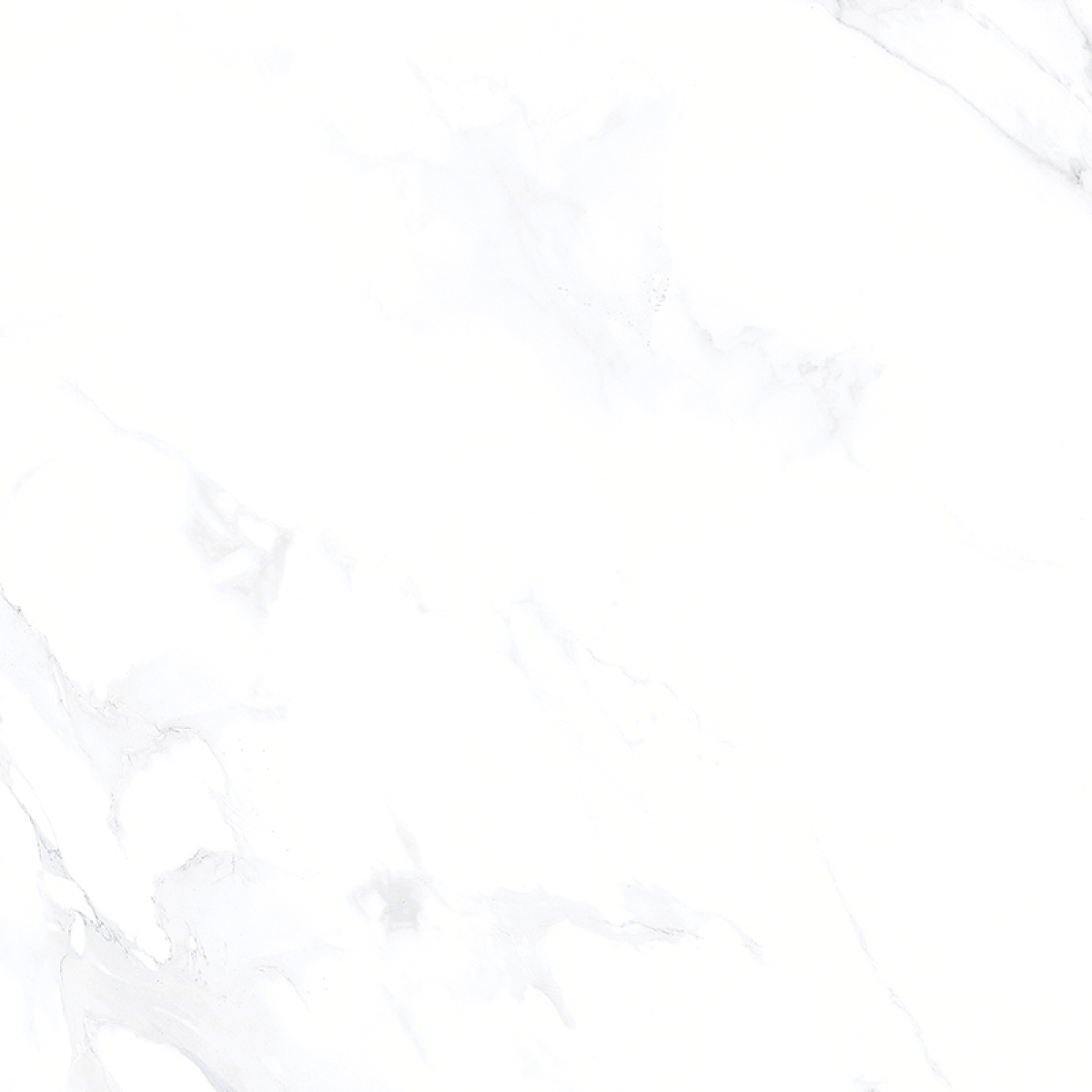 CARRARA GREY NEW